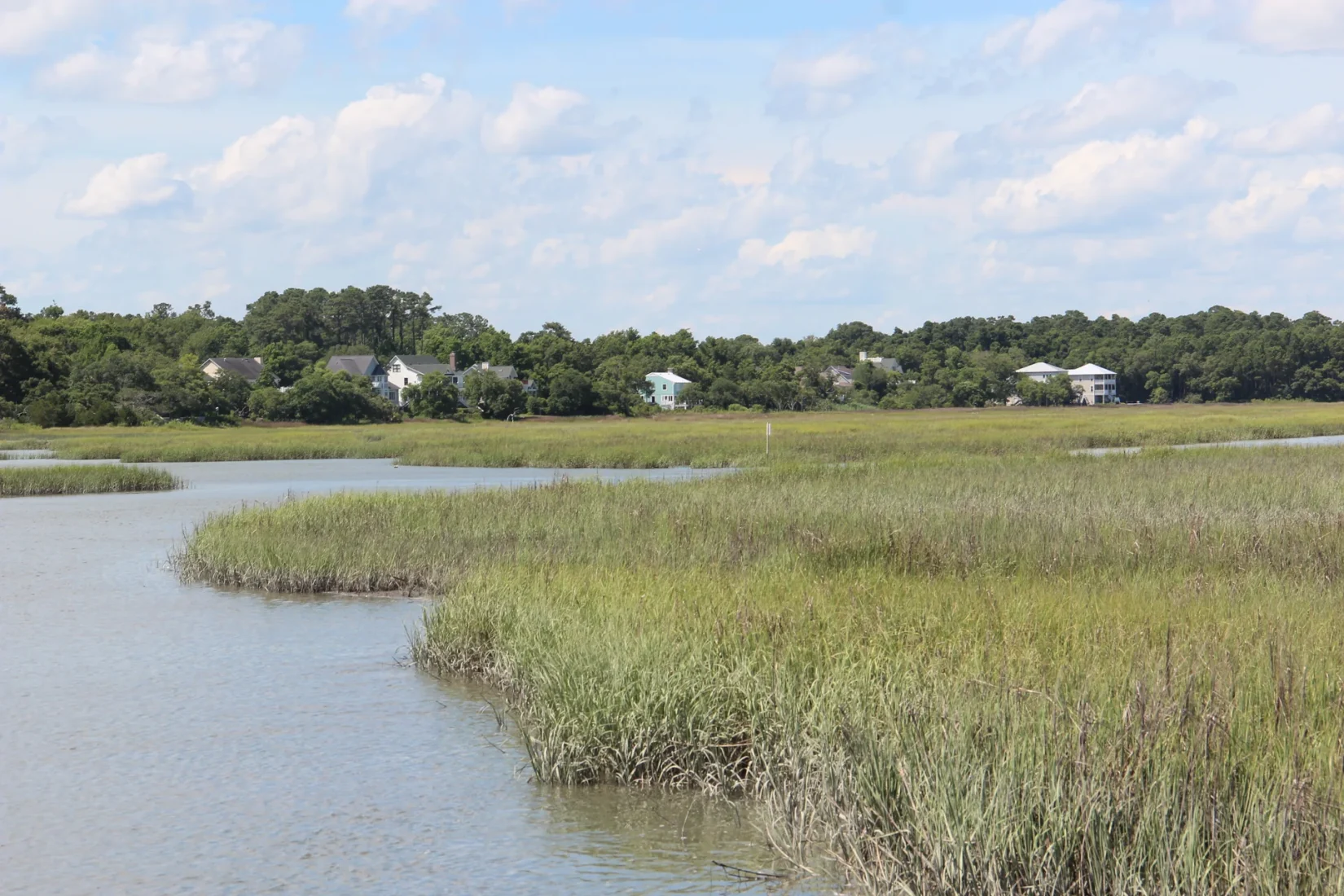 Salt marsh with houses beyond it in the Murrells Inlet area.