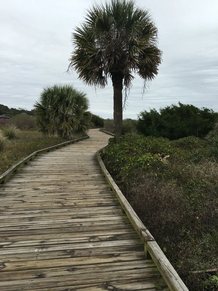 A wooden path curves beside palmettos and coastal vegetation at Myrtle Beach State Park.